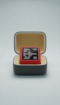 Red Light Device With Protective Carry Case